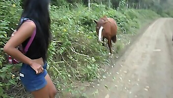 Chevauche De Cheval Et Éjaculation Interne Avec Une Adolescente Thaïlandaise En Équateur