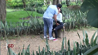 Kenikmatan Voyeuristik Dari Mengamati Pasangan Di Taman