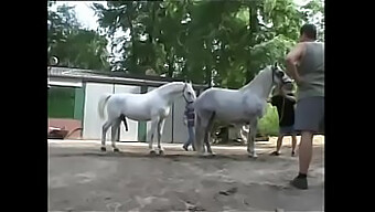 Большой Член И Большие Сиськи Звезды В Анальном Видео Удовольствия.