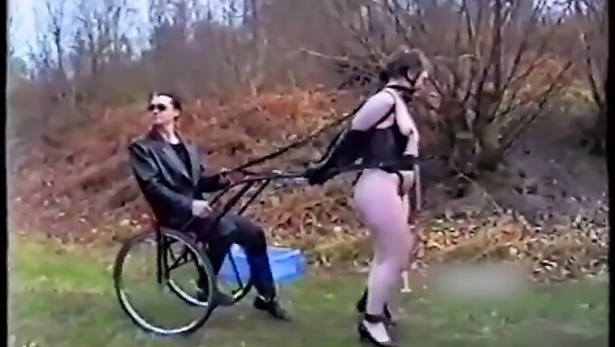 BDSM training with ponygirls