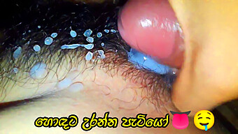 Hairy Cock Meets Hairy Pussy In Sinhala Porn Video