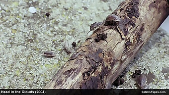 चार्लीज़ थेरॉन और पेनेलोप क्रूज़ के साथ उनकी प्राकृतिक सुंदरता में शासक सेक्स।