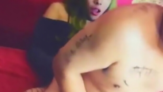 Hermosa y encantadora transexual en acción