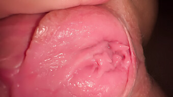 Intense Close-Up Of A Tight Pussy'S Pleasure